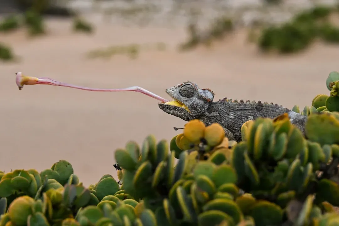 4. Your Instincts React Before Your Logic Does (Cancer, Aries, Scorpio) (Image Credits: Unsplash)