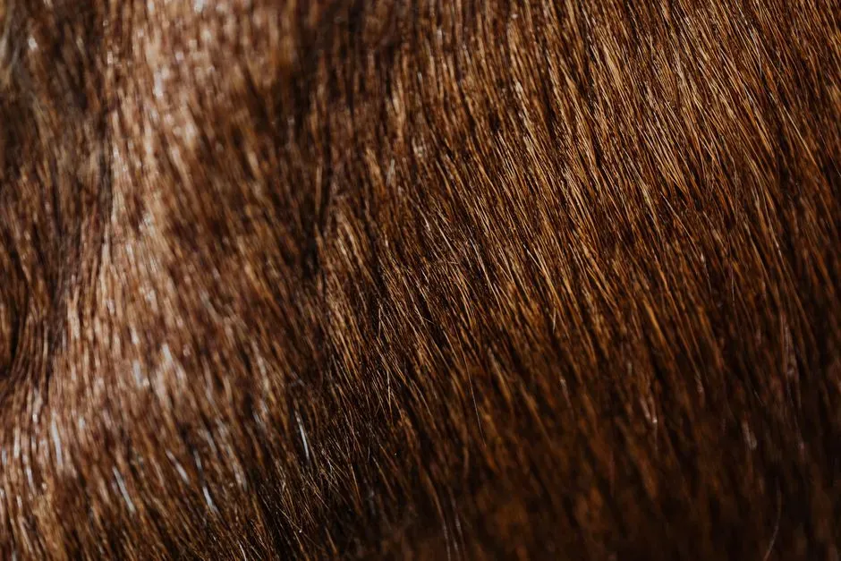 #12 - A Coat That Was Never Just One Color (Image Credits: Pexels)