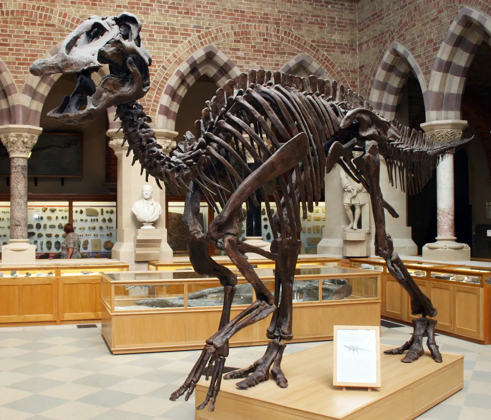 #10 - Your Favorite Dino Mount Is a Frankenstein of Several Animals (edmontosaurusUploaded by FunkMonk, CC BY 2.0)