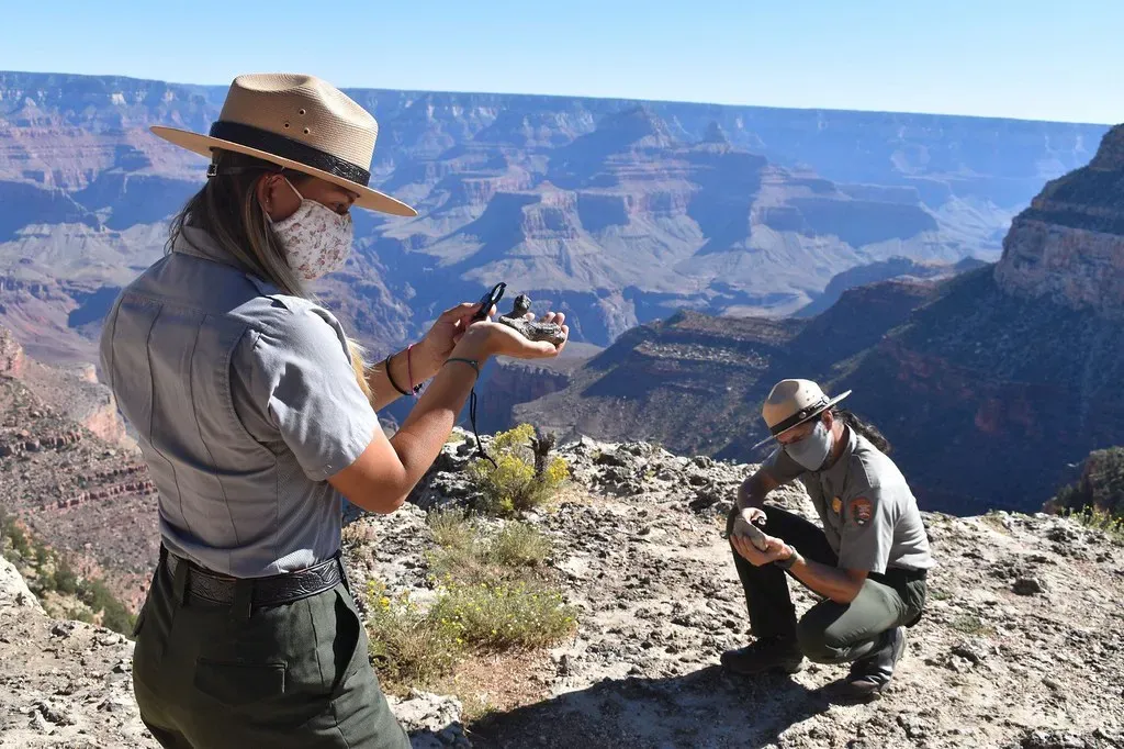 Patience Is Your Superpower When It Comes to Searching (Image Credits: Flickr)