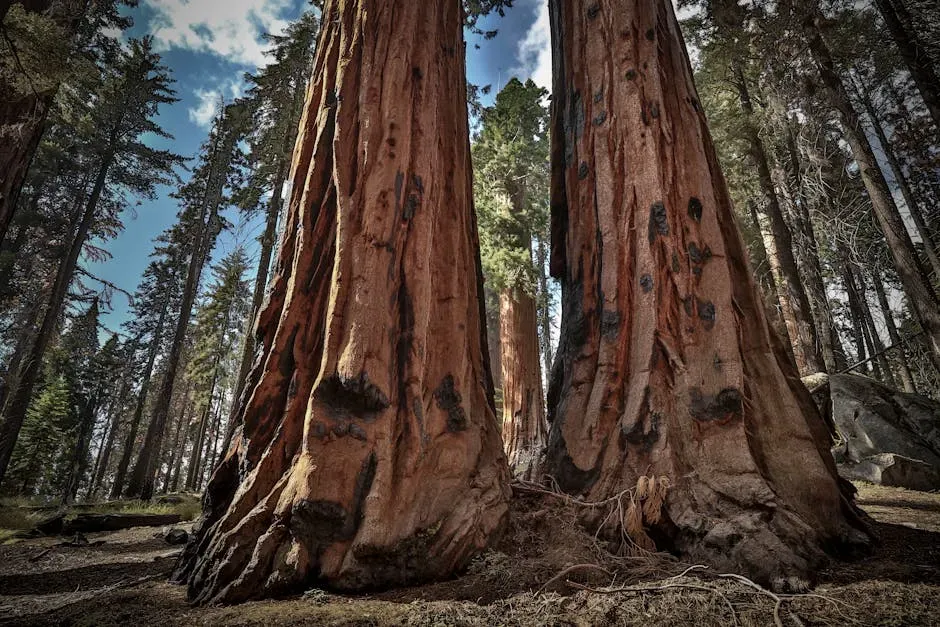 11. Some Prehistoric Plants Were Truly Colossal (Image Credits: Pexels)