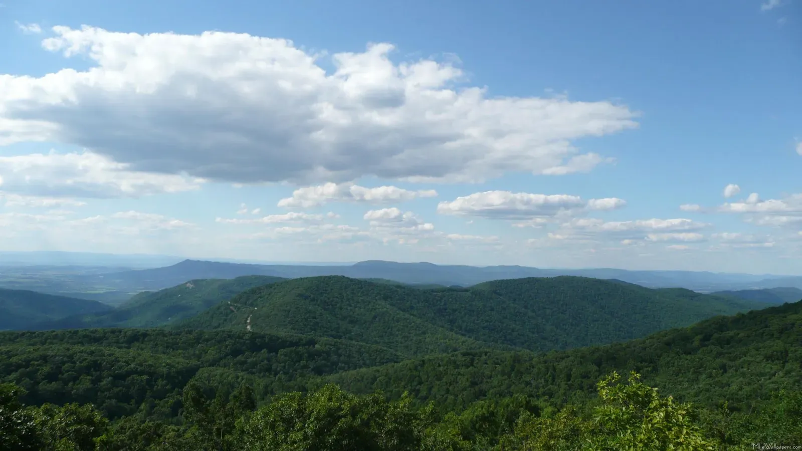 The Appalachian Mountains: Ancient Titans Worn Down by Time (Image Credits: Wikimedia)