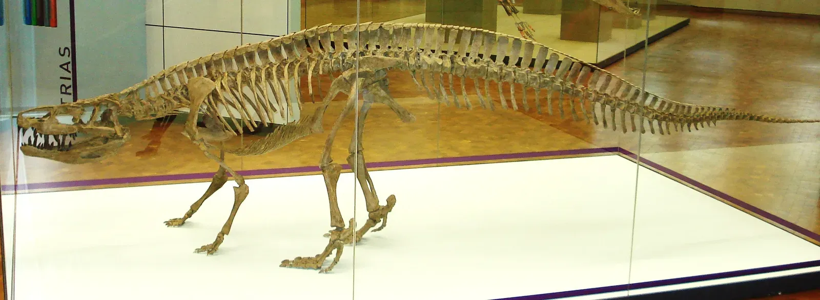 7. Giant Crocodile Relatives in Petrified Forest: Ambush Predators of an Ancient Swamp (By Ghedoghedo, CC BY-SA 3.0)