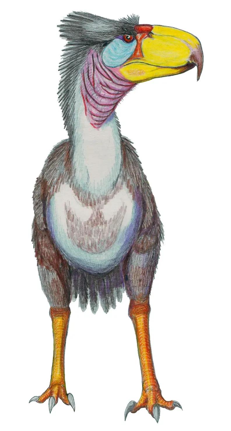 #12 - Titanis Walleri: The Terror Bird That Invaded Before the Bridge Existed (dmitrchel@mail.ru, CC BY-SA 3.0)