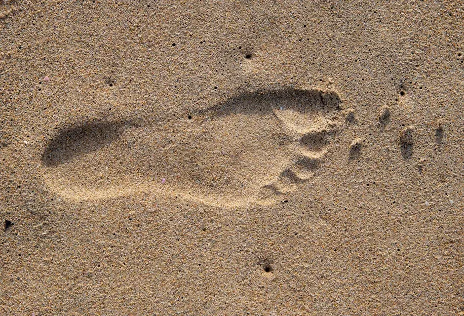 Ancient Footprints in Arabia: Humans Where They Should Not Have Been (Image Credits: Pexels)