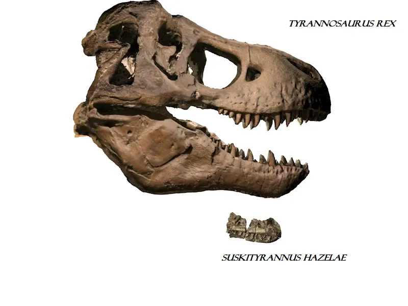 The Great T. Rex Intelligence Debate That Divided Scientists (Image Credits: Wikimedia)