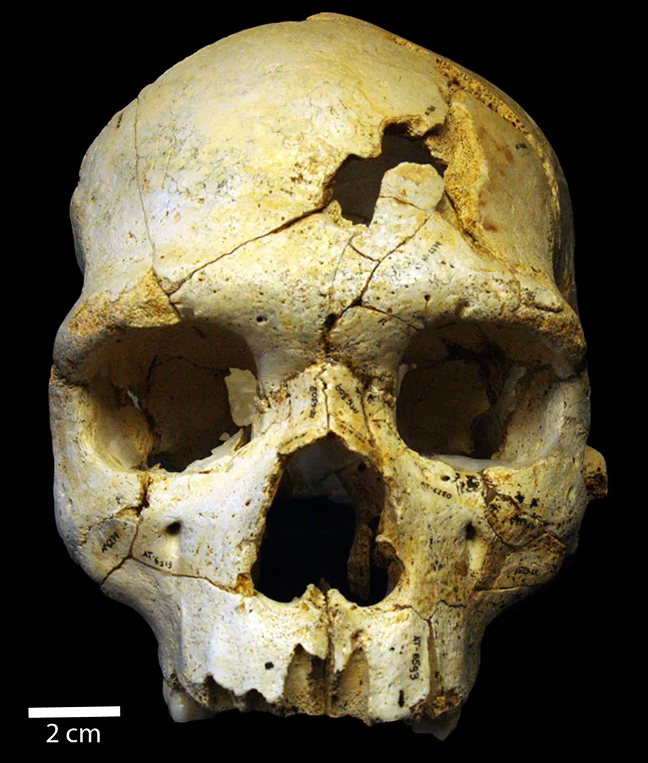 #12 - A 430,000-Year-Old Pit Full of Bodies Nobody Can Explain (Sala et al. (2015) "Lethal interpersonal violence in the Middle Pleistocene". PLoS ONE, 10(5): e0126589 http://journals.plos.org/plosone/article?id=10.1371/journal.pone.0126589, CC BY 4.0)