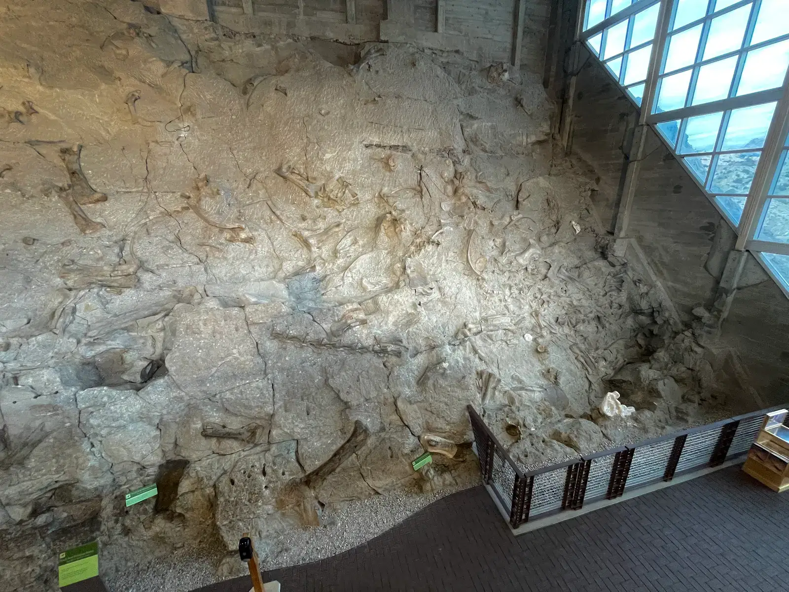 Under Construction at Dinosaur National Monument (Image Credits: Wikimedia)