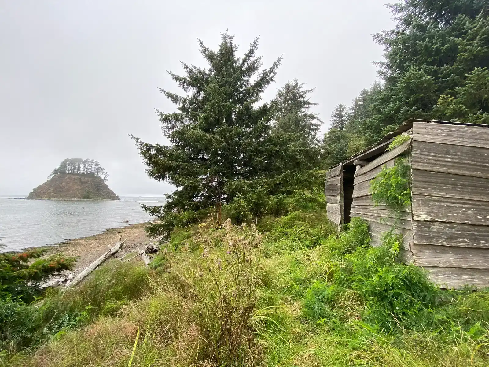 8. Ozette Village, Washington: A Makah Pompeii Preserved in Mud (By Washington Our Home, CC BY-SA 4.0)