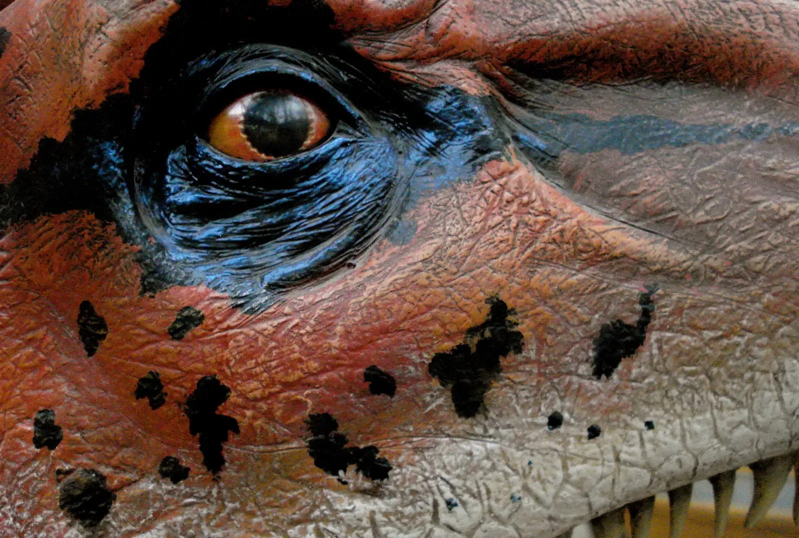 3. Some Dinosaurs Saw Colors You Cannot Even Imagine (Dinosaur eye closeup, CC BY 2.0)