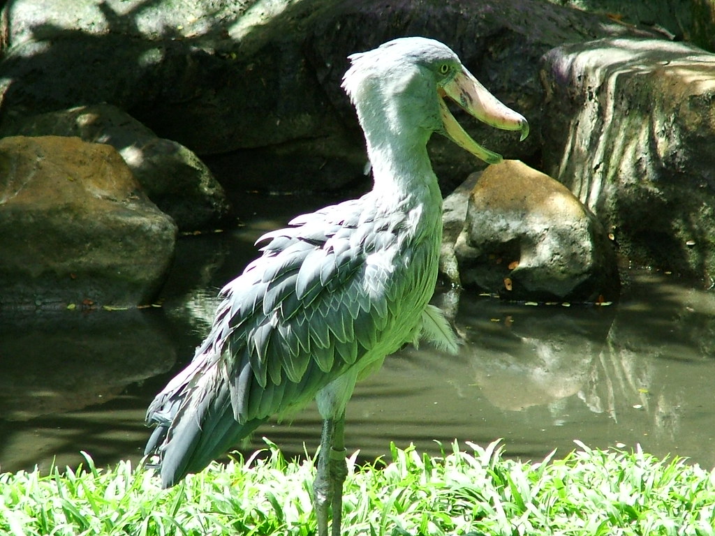 The Intelligence Connection (Image Credits: Flickr)