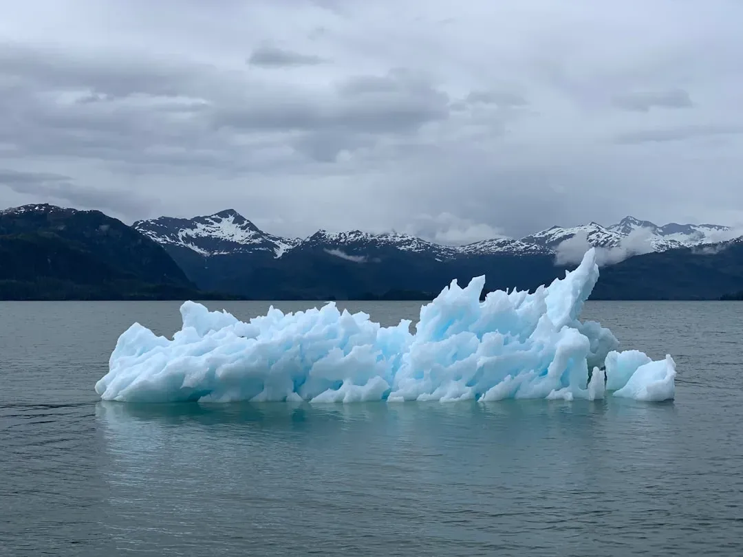 More Than One Smoking Gun: Climate, Humans, and the “Perfect Storm” (Image Credits: Unsplash)