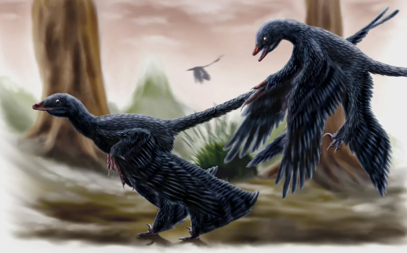 How Did Feathers Evolve and Which Dinosaurs Could Truly Fly? (Image Credits: Wikimedia)