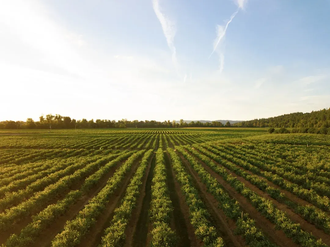 #10 - Farming Was Invented Once, in the Fertile Crescent, and Spread From There (Image Credits: Unsplash)