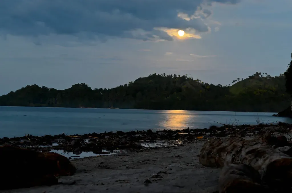 Cancer – The Moonlit Shoreline Sky (mendoza.frank, Flickr, CC BY 2.0)