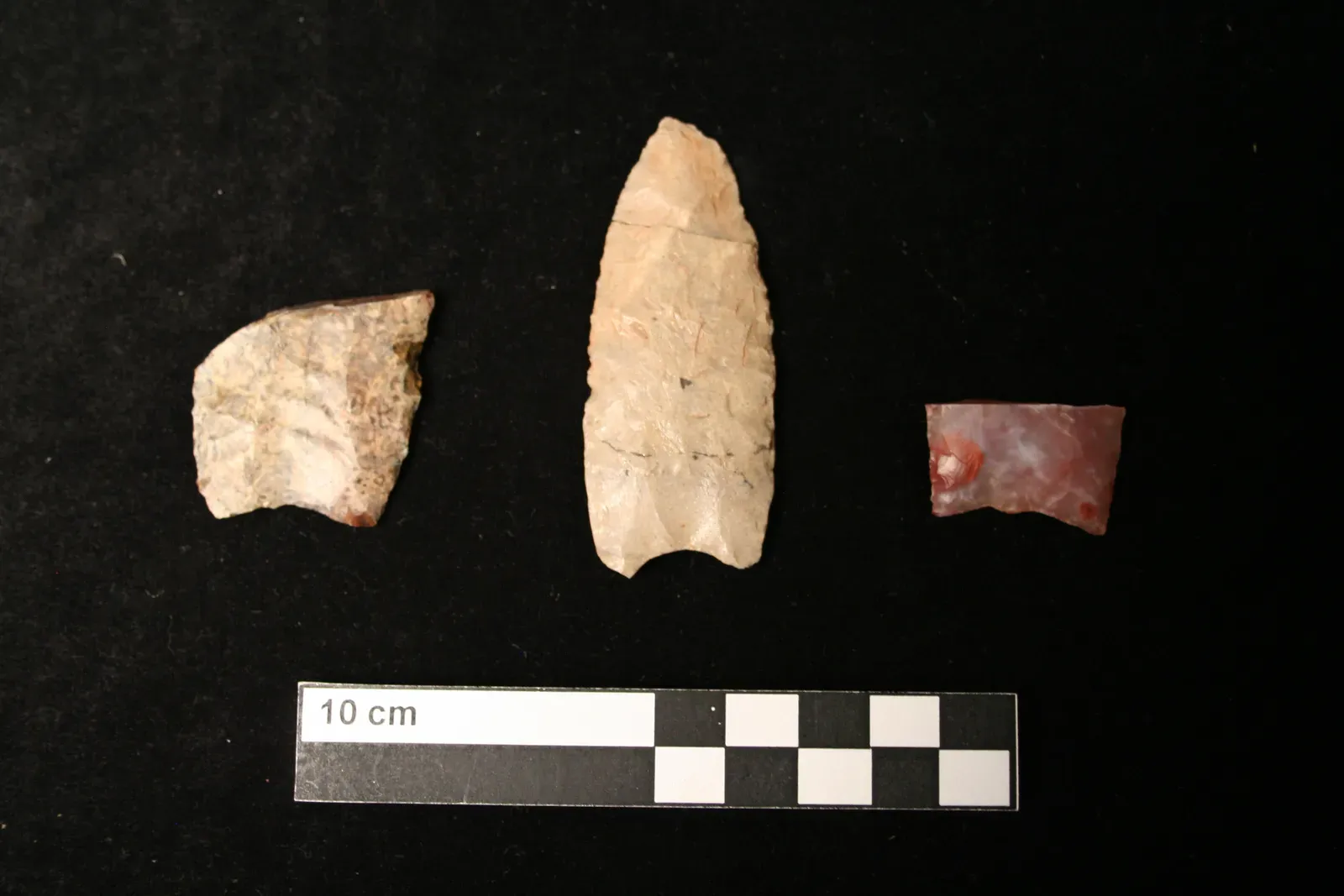 Conclusion: A Legacy Written in Stone, Bone, and Dust (Edge of the Cedars State Park Museum, Public domain)