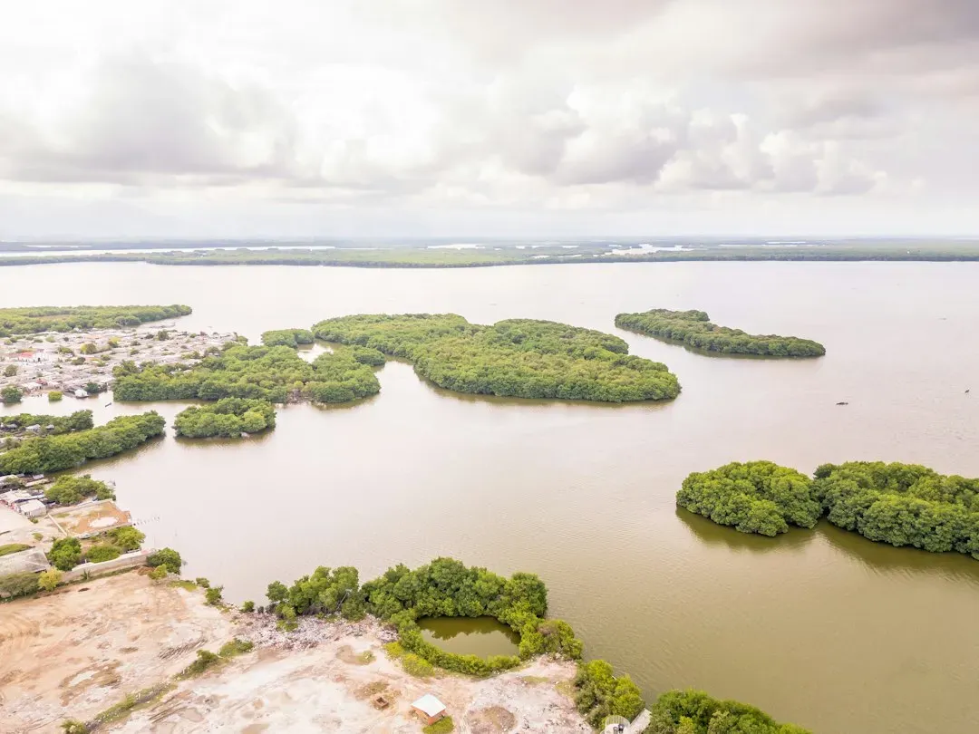 6. Rivers, Lakes, and Wetlands Became Prime Real Estate (Image Credits: Unsplash)
