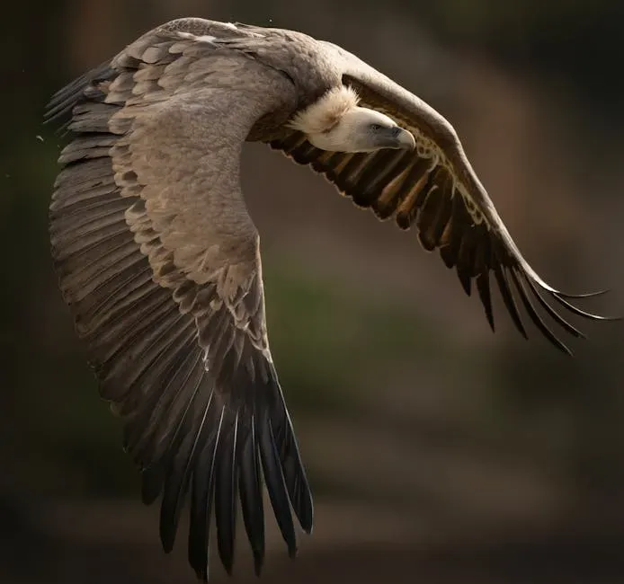 Fact 2: A Master of Energy-Efficient Flight (Image Credits: Pexels)