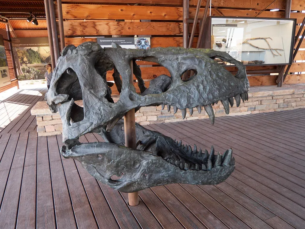 Reading the Scars: How Fossils Reveal Ancient Violence (joncutrer, Flickr, CC BY 2.0)