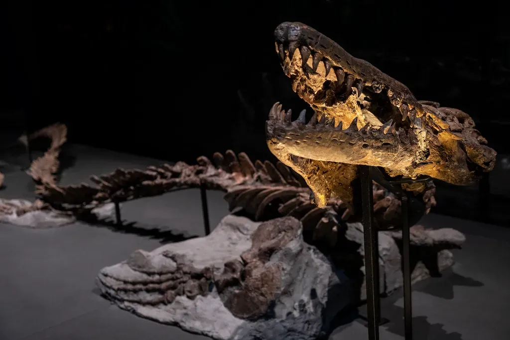 Predators of Giants: Whales, Marine Reptiles and More (hape662, Flickr, CC BY 2.0)