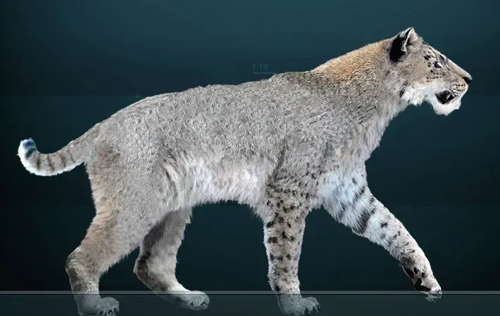 #7 - Homotherium: The Scimitar Cat Built for Marathon Hunts (By Sergiodlarosa (Sergio De La Rosa), CC BY-SA 3.0)