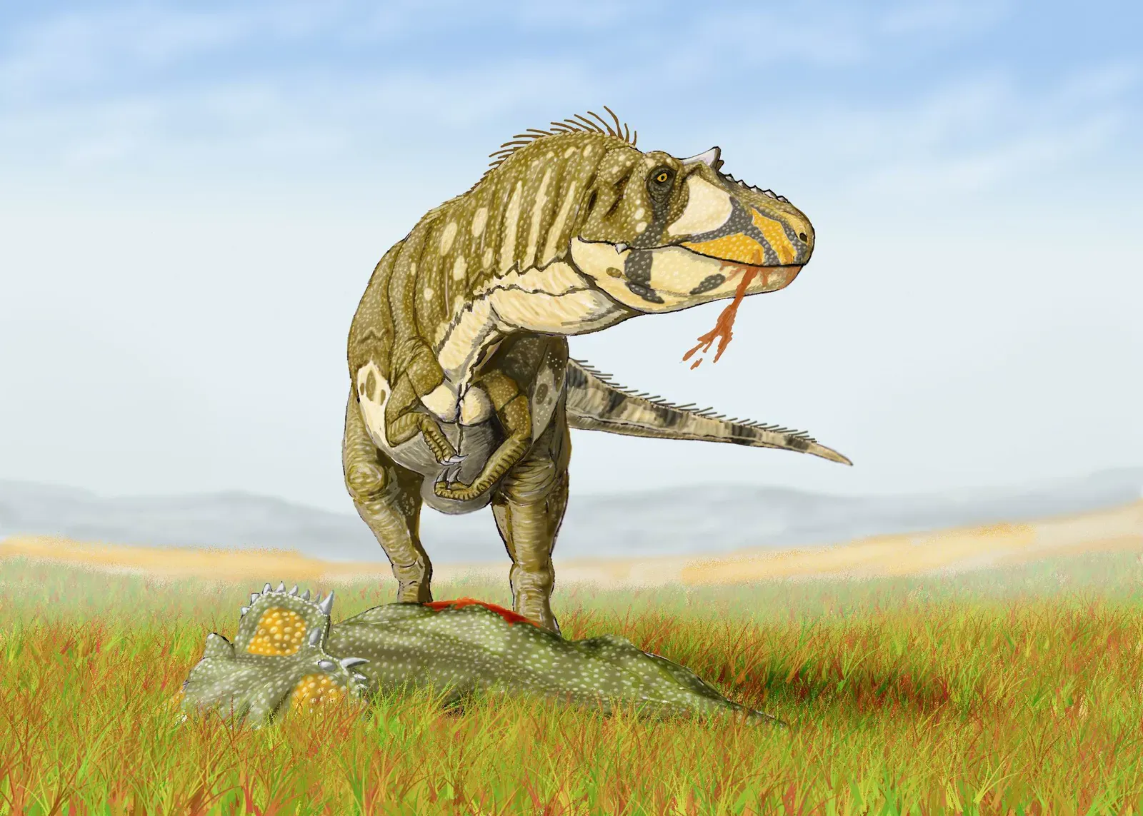 12. Daspletosaurus: The Terrifying Bridge Between Eras (Image Credits: Wikimedia)