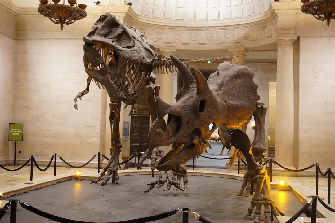 #7 - It Actually Survived Tyrannosaurus Attacks - More Than Once (Image Credits: Unsplash)