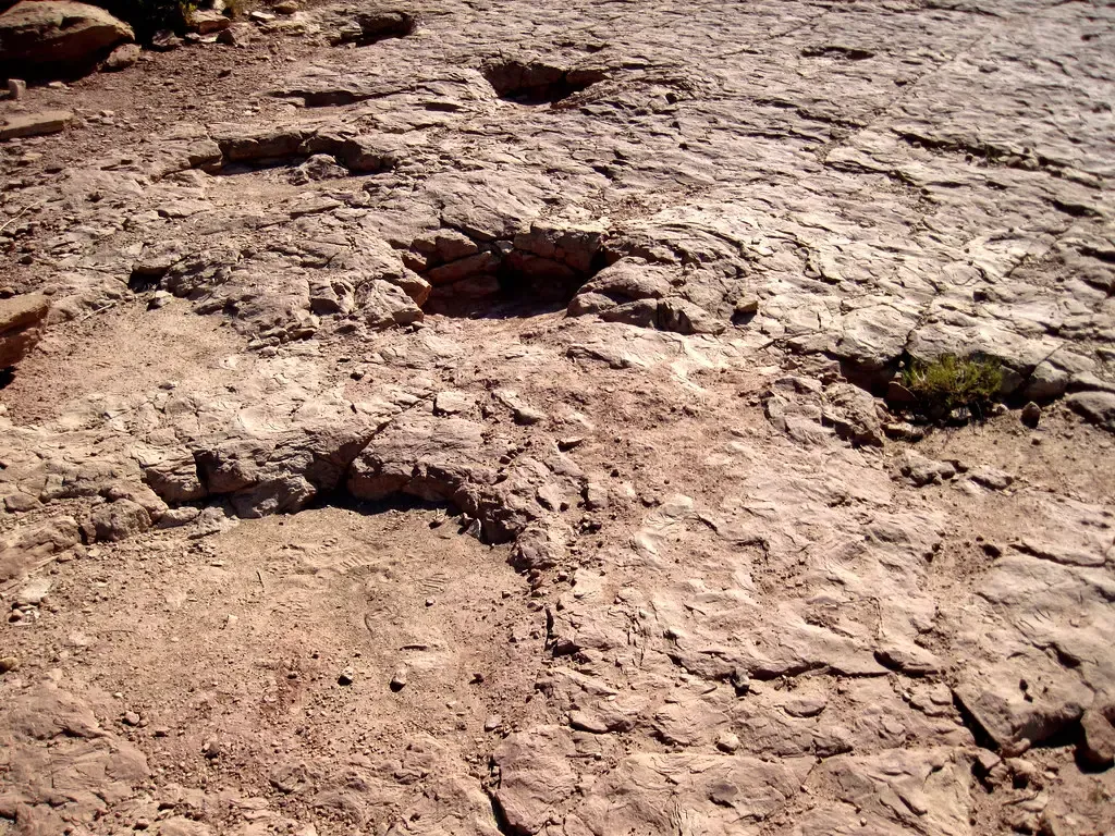 Modern Evidence Reshaping Ancient Understanding (Image Credits: Flickr)