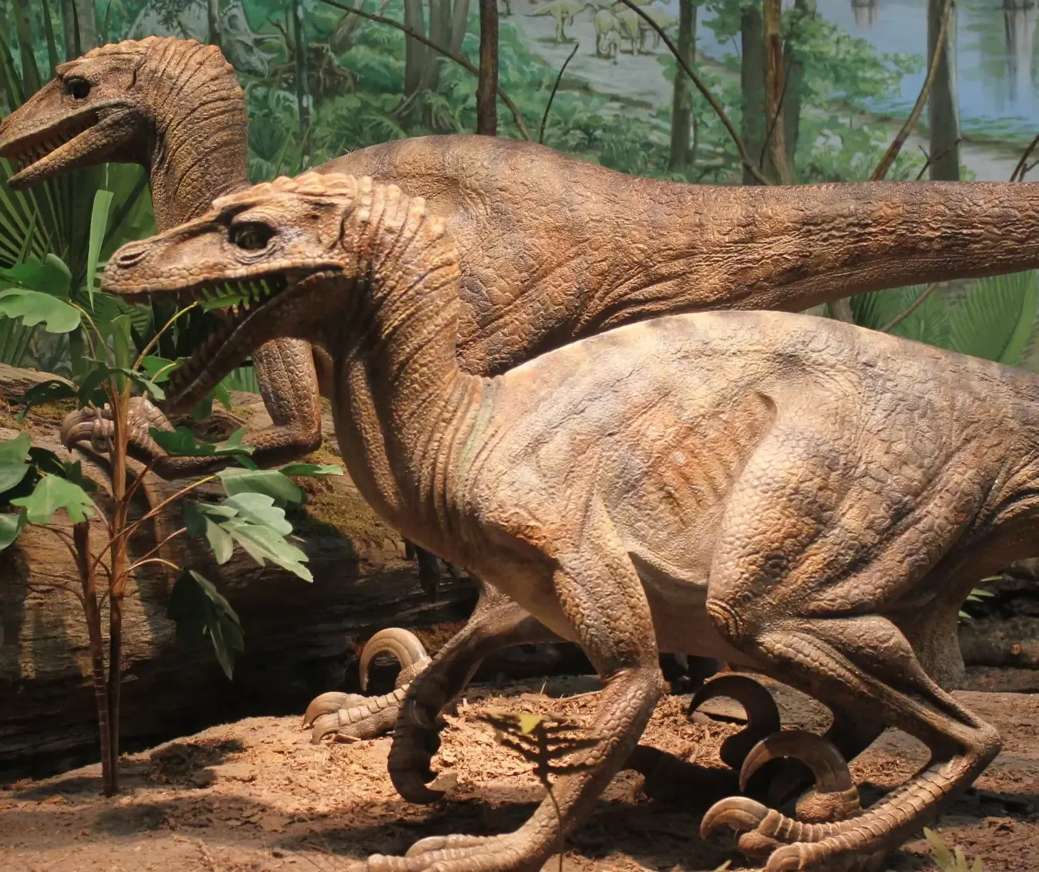 Technology in a World of Claws and Feathers (www.goodfreephotos.com (gallery, image), Public Domain)