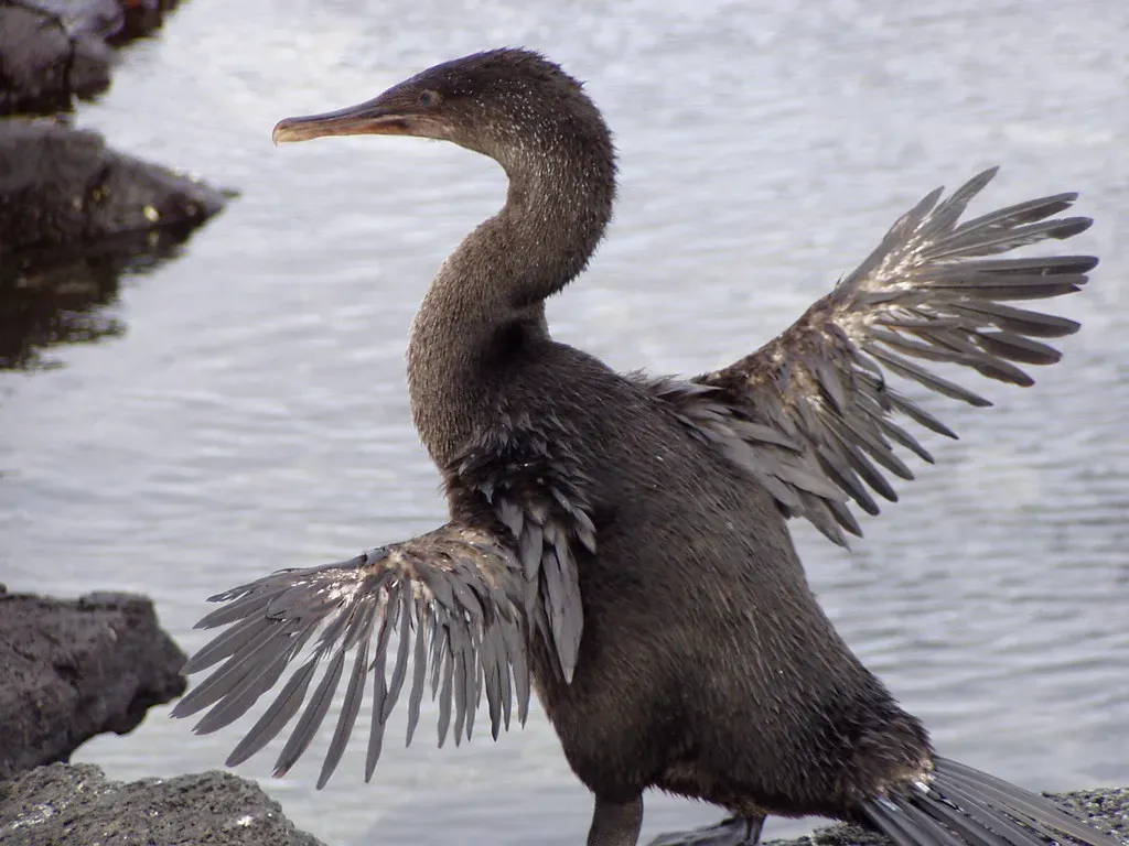 Conclusion (twiga-swala, Flickr, CC BY-SA 2.0)