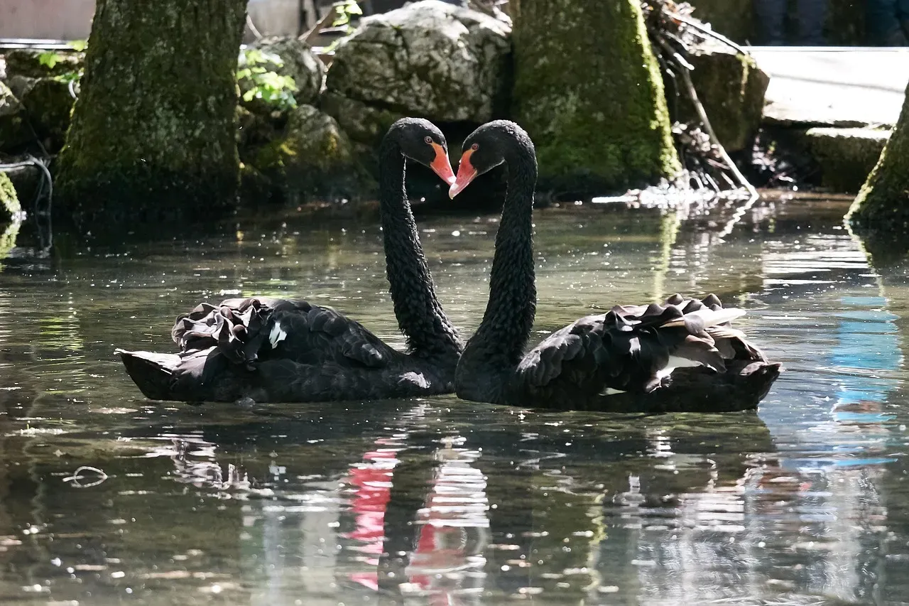 The Ecological Puzzle of Distribution (Image Credits: Pixabay)