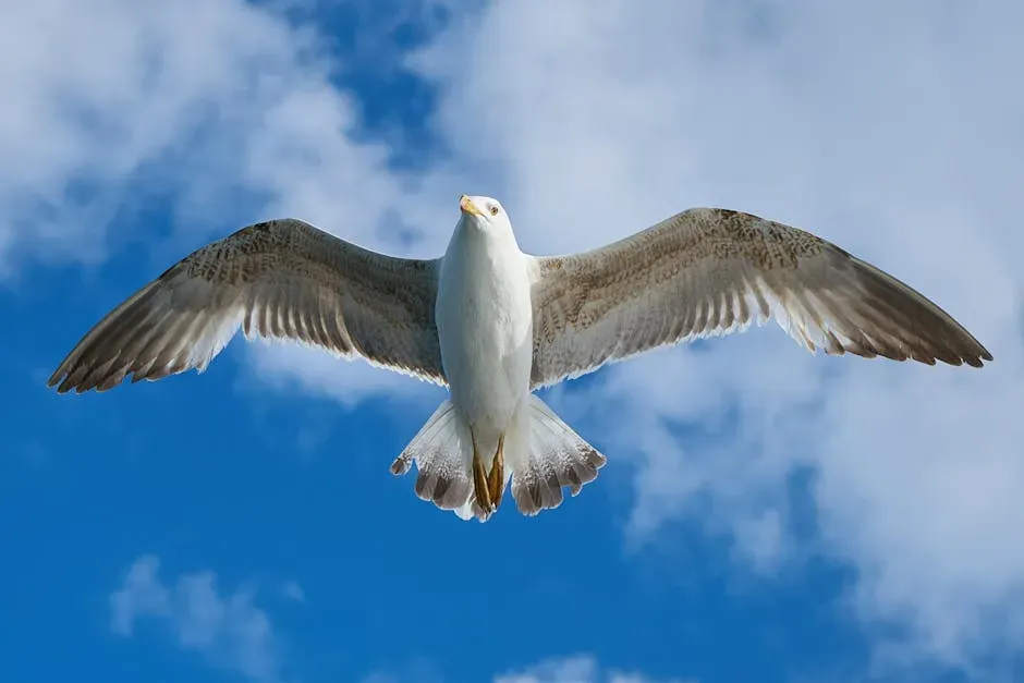 The Physics That Every Flying Animal Had to Solve (Image Credits: Pexels)