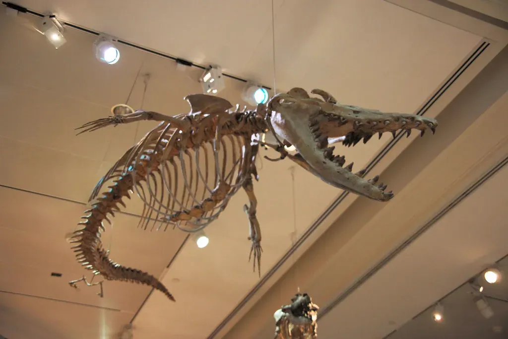 #10 - Basilosaurus: A Whale Wearing a Dinosaur's Name (Tim Evanson, Flickr, CC BY-SA 2.0)