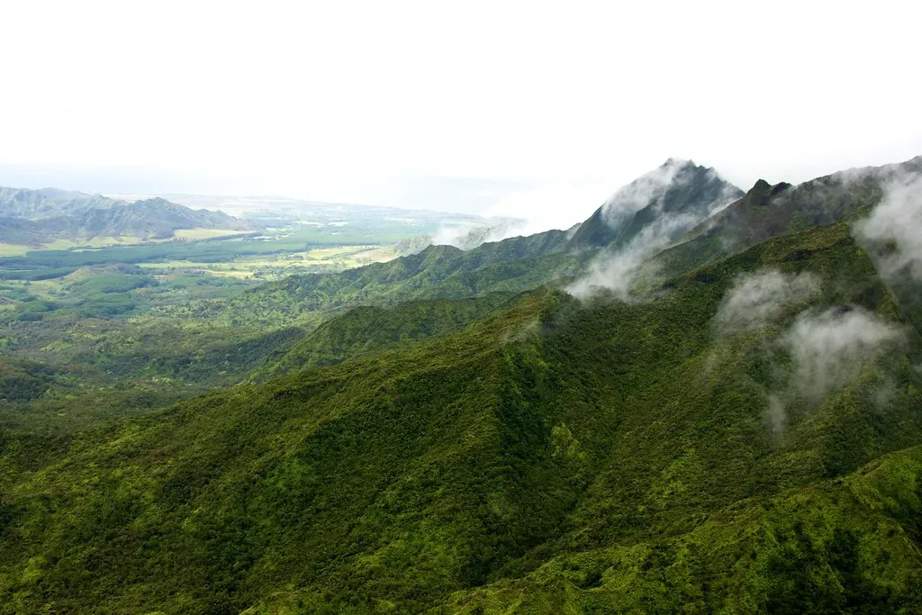 #8 - The Wettest Spot in America, on Average (levork, Flickr, CC BY-SA 2.0)