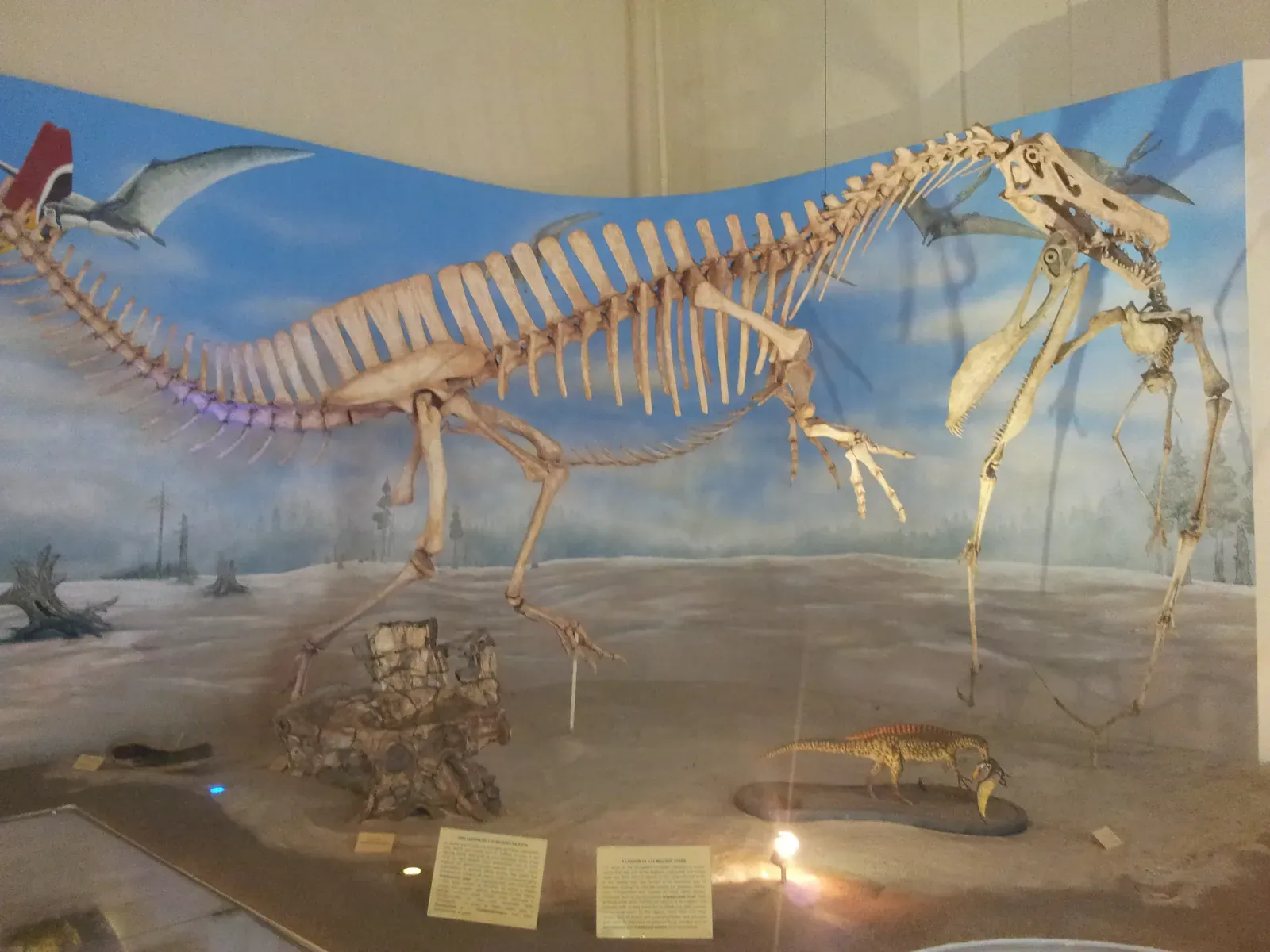 7. It may share an identity crisis with another Brazilian dinosaur (By João de Deus Vidal Jr, CC BY-SA 4.0)