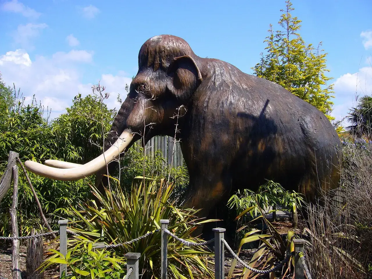 #8 - A Trunk That Never Stopped Moving (Image Credits: Pixabay)