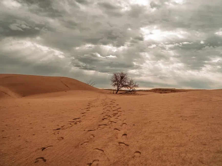 Pangaea’s Interior Desert: A Supercontinent’s Harsh Heart (Image Credits: Pexels)