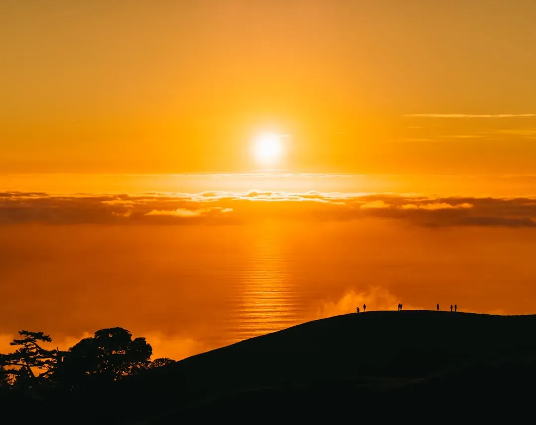 Taurus – The Slow-Gold Sunrise Over Quiet Fields (Image Credits: Unsplash)