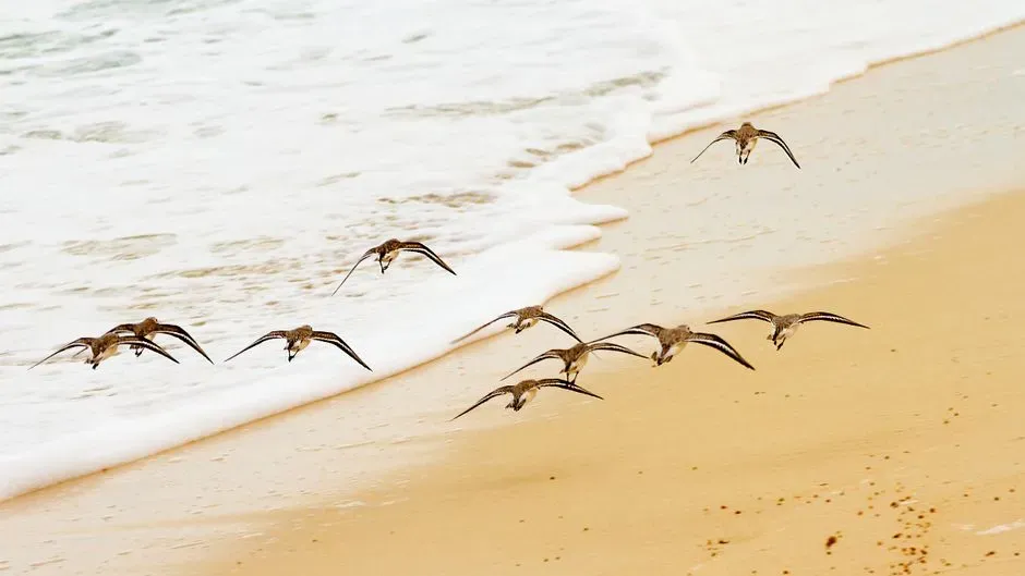 #3 - The Extreme-Flight Physiology Paper That Needed a Quiet Fix (Image Credits: Pexels)