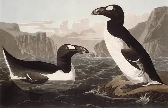 #2 - It Existed Millions of Years Before Modern Humans Did (BiblioArchives / LibraryArchives, Flickr, CC BY 2.0)