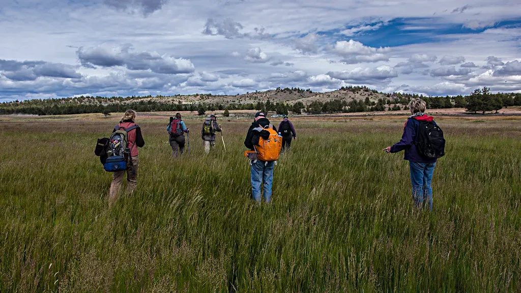 5. You Have an Unshakeable Ability to Be Patient (Image Credits: Flickr)