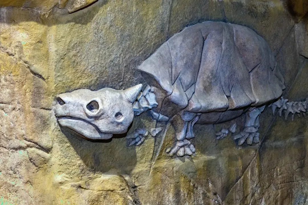 Conclusion: A Stranger, Wilder Earth Than You Imagined (Image Credits: Unsplash)