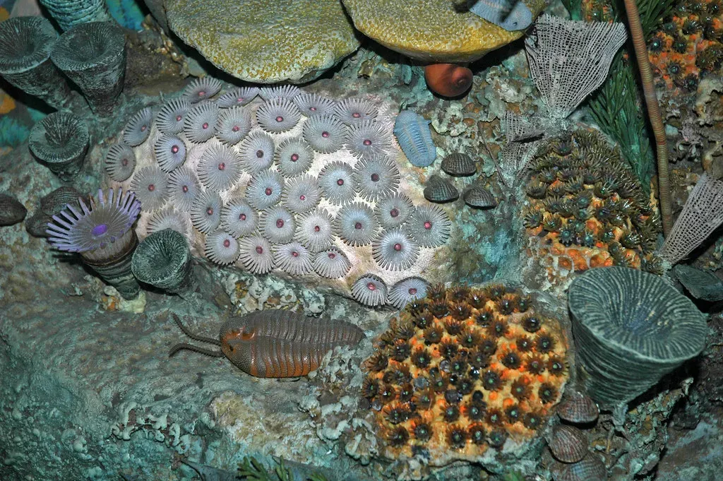 The World Before the First Step: Life in the Devonian Seas (James St. John, Flickr, CC BY 2.0)