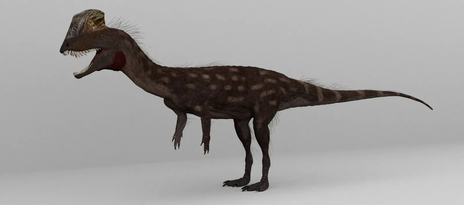 The Bottom Line (By Petr Menshikov (https://twitter.com/Petr75113553; https://vk.com/prehistoricproduction), CC BY-SA 4.0)