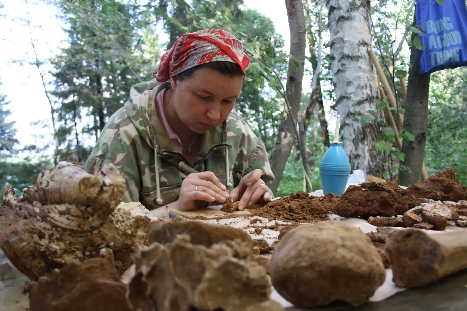 You're Obsessed With the Bigger Picture, Not Just the Details (Image Credits: Wikimedia)