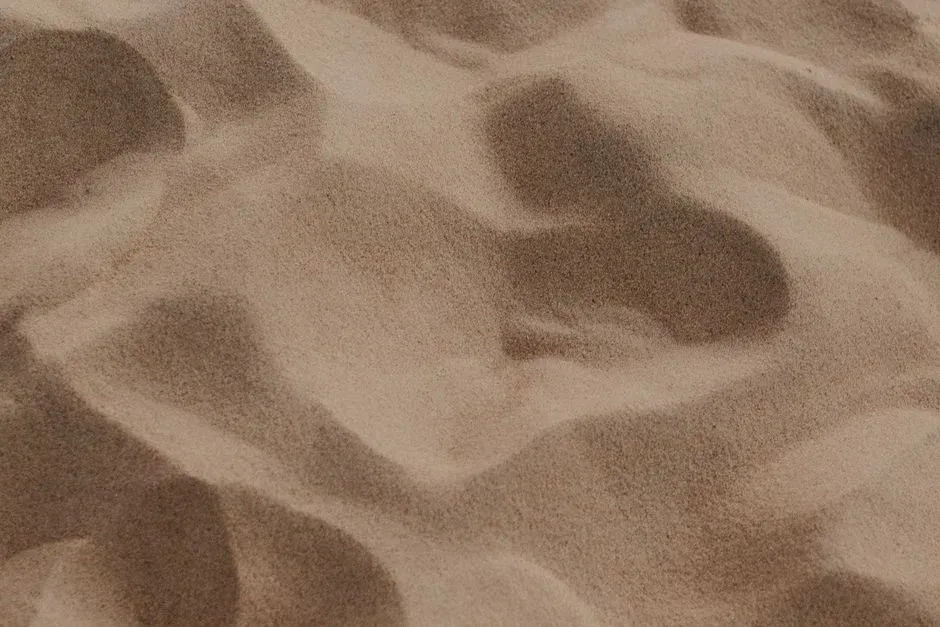 #10 - Grain Texture Reveals How Far Each Particle Has Actually Traveled (Image Credits: Pexels)