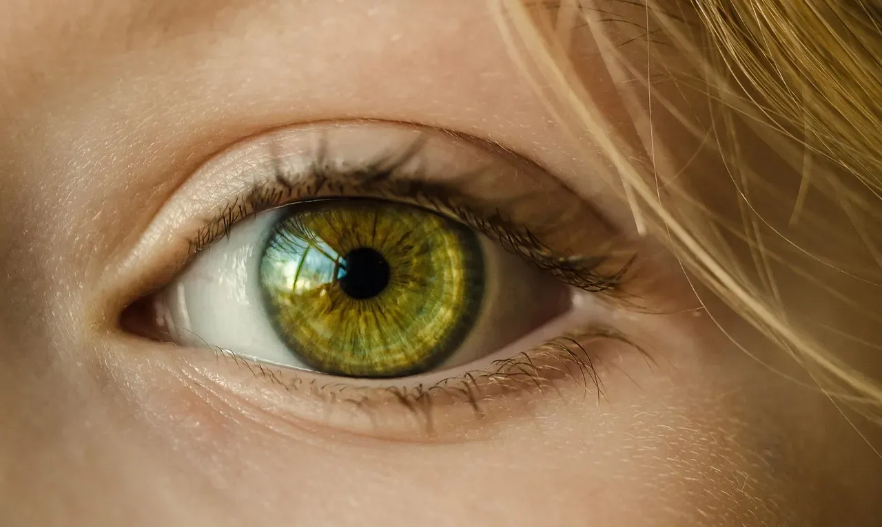 4. Your Color Vision Helps You Find Food and Read People (Image Credits: Pixabay)