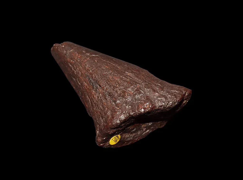 #7 - Iguanodon's Nose Horn Was Actually a Thumb Spike (paleo_bear, Flickr, CC BY 2.0)