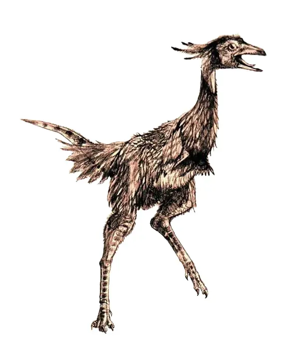 Stranger Than T. rex Because It Went All‑In on Specialization (Own Work by Pavel Riha (see also the paleo-gallery by Pavel Riha), CC BY-SA 3.0)