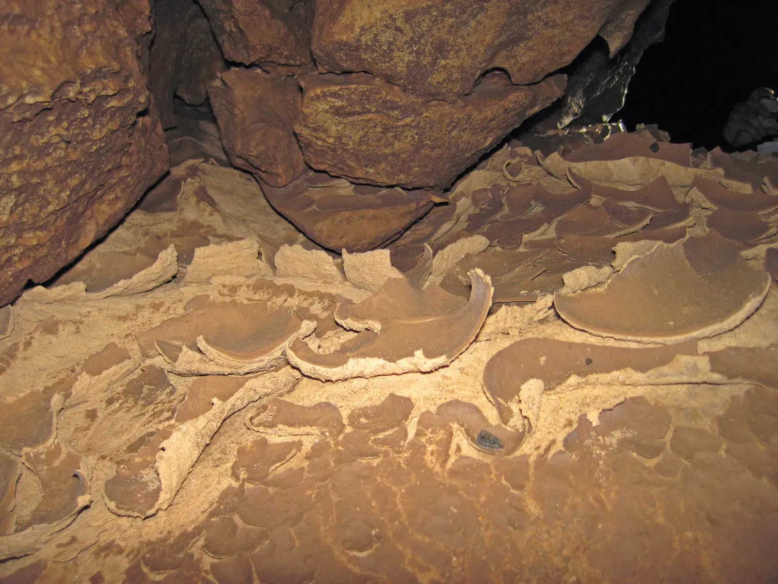 #11 Fine Sediment Layers and Footstep Microstratigraphy (By James St. John, CC BY 2.0)